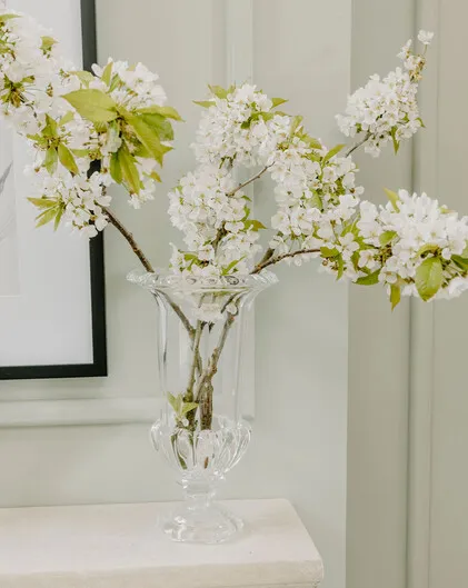 Livvie Glass Footed Vase