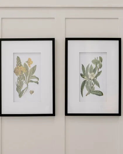 Set of 2 Botanical Prints - Wild Flowers