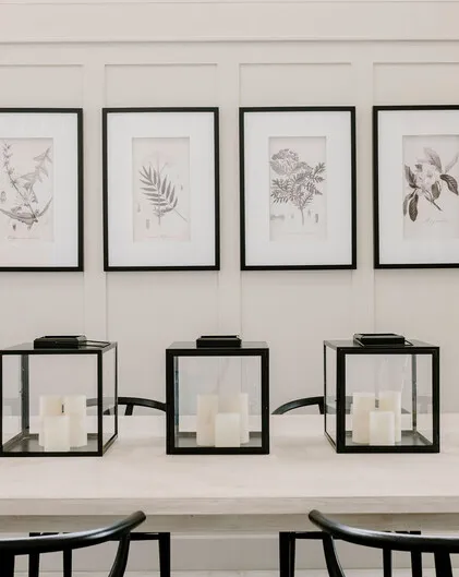 Set of 4 Monochrome Botanical Prints - Trees and Flowers