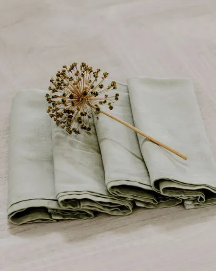 Erica linen napkins in sage (set of 4)