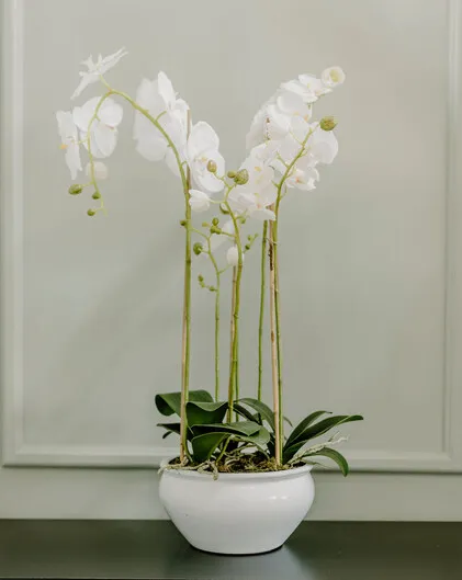 Halo Faux White Orchid Multi Stemmed Plant (White glazed planter)