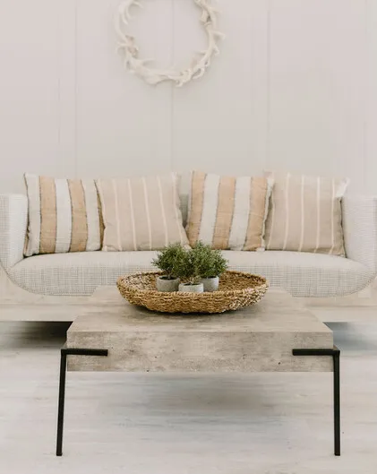 Dew of the Sea Rosemary Potted Plant