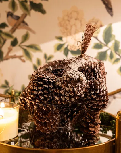 Frosted Pinecone Bag