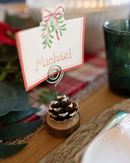 Pine Cone Name Settings (S4)